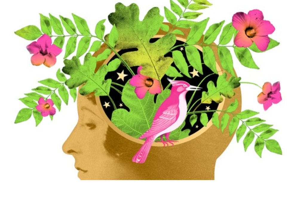 A bird and flowers in a head

Description automatically generated